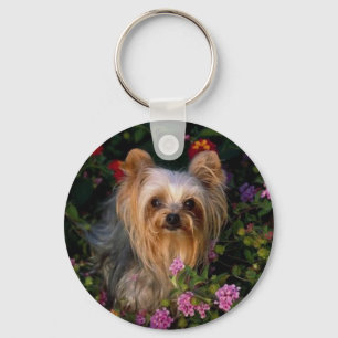 Llavero de Yorkshire Terrier