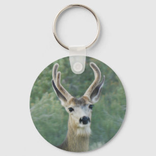 Llavero Deer