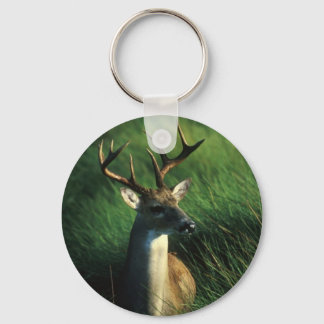Llavero Deer/White Tail Buck
