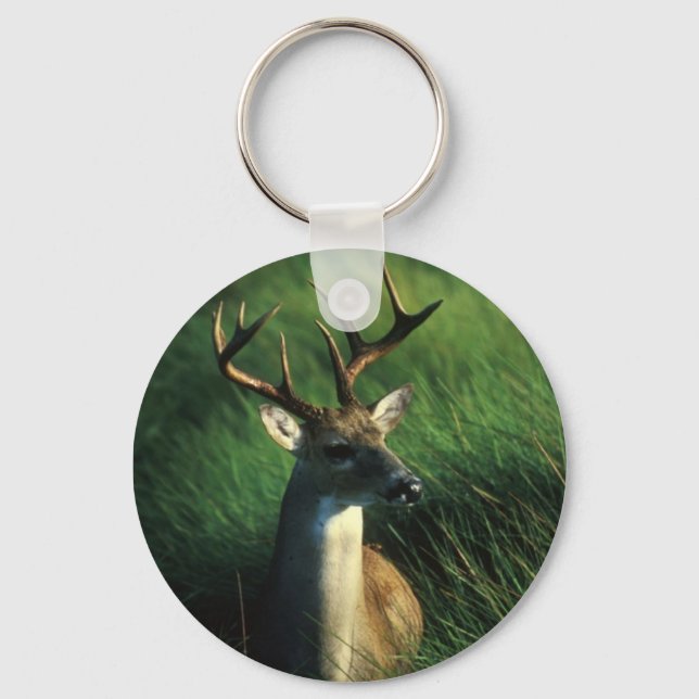 Llavero Deer/White Tail Buck (Anverso)