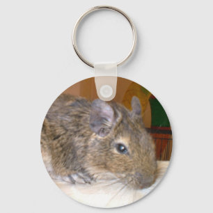 Llavero Degu Relaxing Keychain