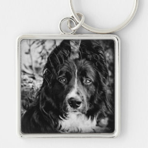 Llavero del border collie