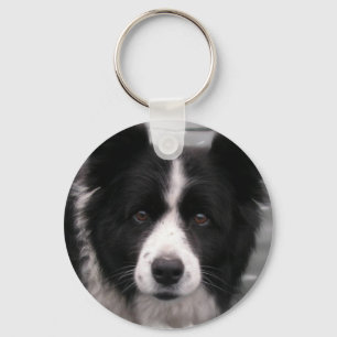 Llavero del border collie