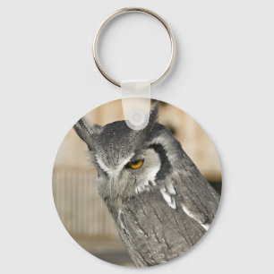 Llavero del búho de Scops