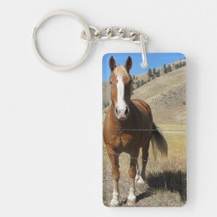 Llavero del caballo