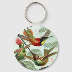 Llavero del colibrí