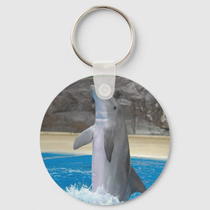Llavero del delfín del baile