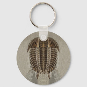 Llavero del fósil de Trilobite