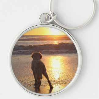Llavero del golden retriever
