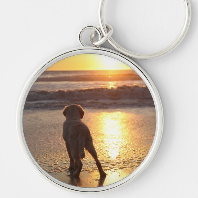 Llavero del golden retriever (Frente)
