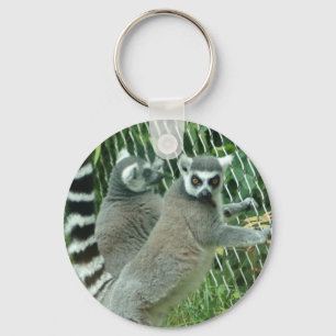 Llavero del Lemur
