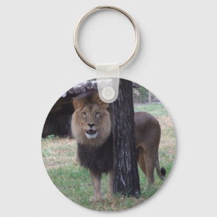 Llavero del león
