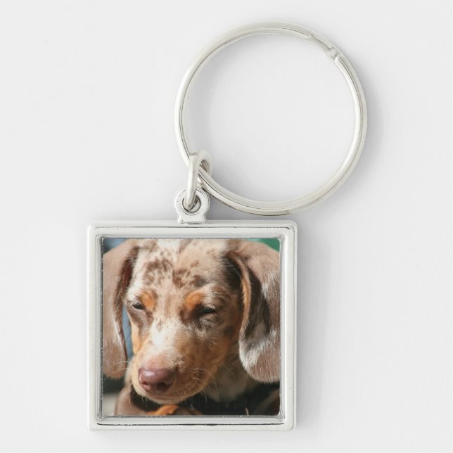 Llavero del perro de Daschund (Frente)