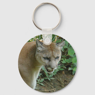 Llavero del puma