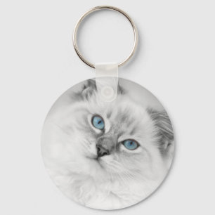 llavero del ragdoll