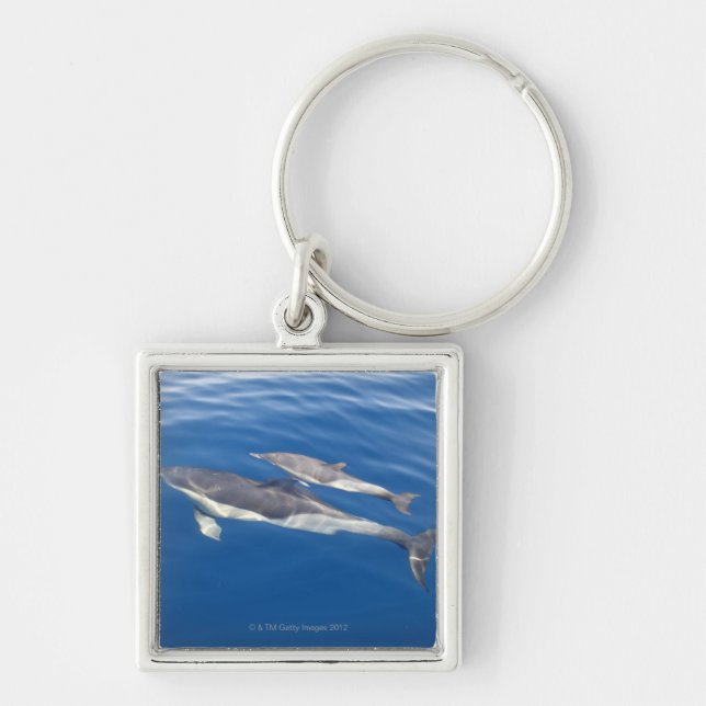 Llavero Delfín común en el estrecho (Frente)