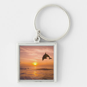 Llavero Delfín de Bottlenose que salta 2