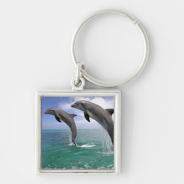 Llavero Delfin, Delphin, un Tuemmler más grueso, Tursiops (Frente)