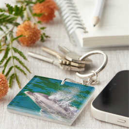 Llavero Delfín En Milford Sound, Nueva Zelanda