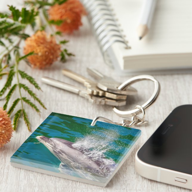 Llavero Delfín En Milford Sound, Nueva Zelanda (Frente Derecha)