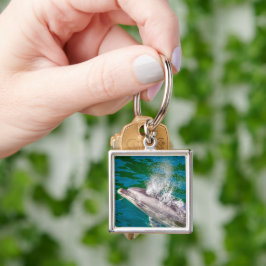 Llavero Delfín En Milford Sound, Nueva Zelanda