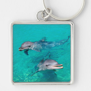 Llavero Delfines