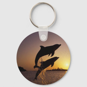 Llavero Delfines agua peces salto chapoteo isla tropical