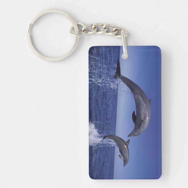 Llavero delfines del Caribe, de nariz de botella (Frente)