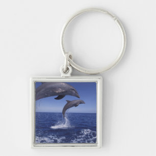 Llavero delfines mulares del Caribe
