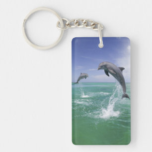 Llavero Delfines mulares Tursiops truncatus