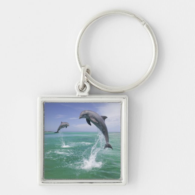 Llavero Delfines mulares Tursiops truncatus (Frente)