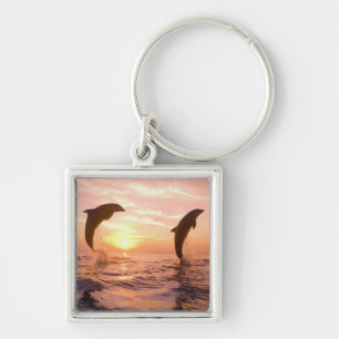 Llavero Delfines mulares Tursiops truncatus
