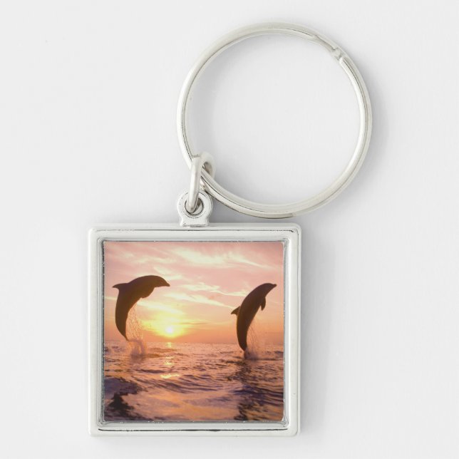 Llavero Delfines mulares Tursiops truncatus (Frente)