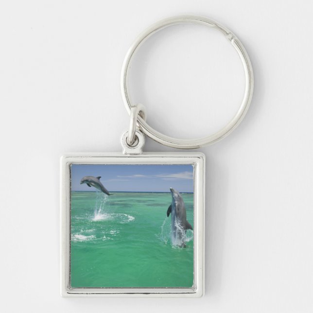 Llavero Delfines mulares Tursiops truncatus (Frente)