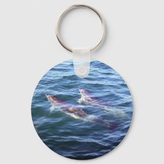 Llavero Delphinus delphis