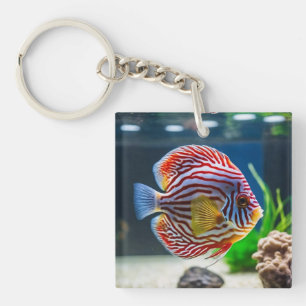 Llavero Depósito de pescado de acuario