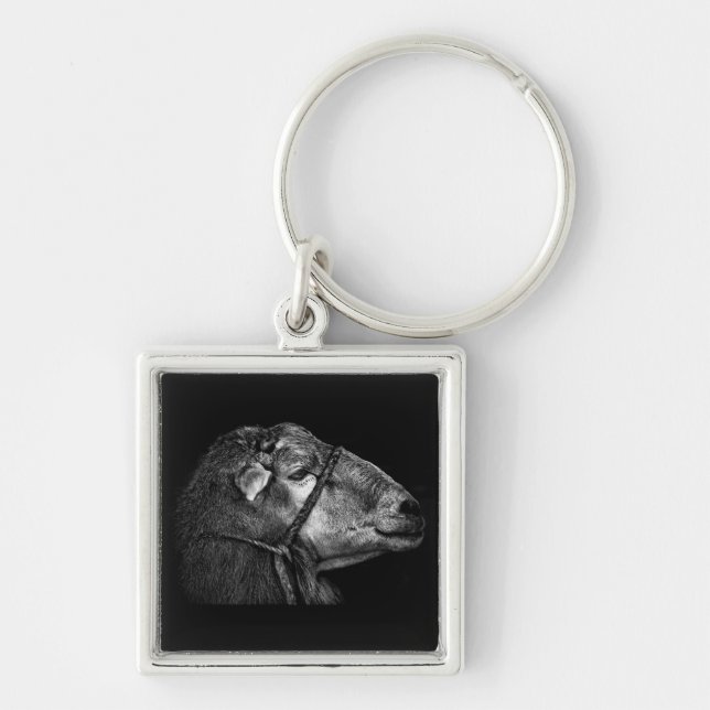 Llavero derecho siguiente (Frente)