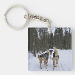 Llavero Derrame de perro en Quebec, Canadá