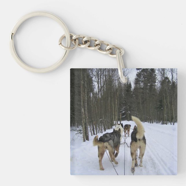 Llavero Derrame de perro en Quebec, Canadá (Frente)