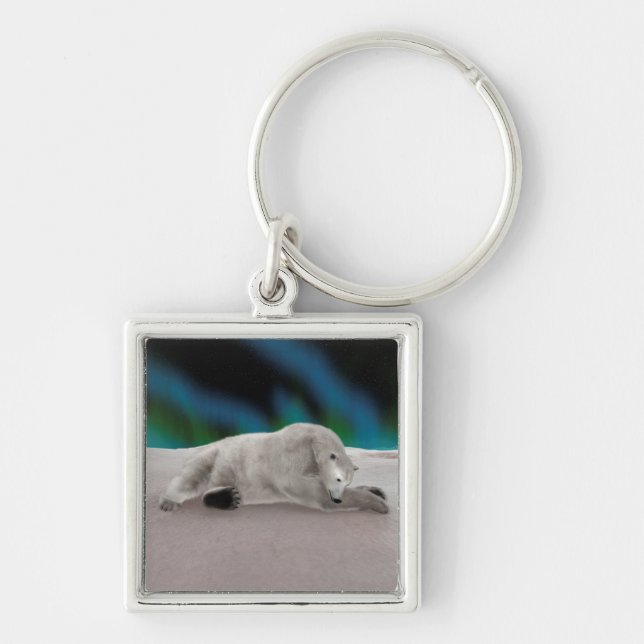 Llavero Desangramiento del oso polar (Frente)