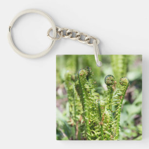 Llavero Despertando helecho joven en el jardín