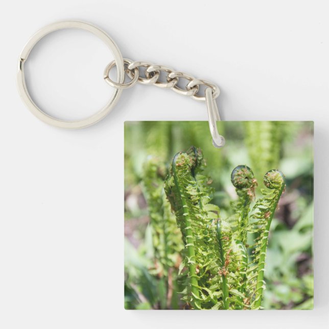 Llavero Despertando helecho joven en el jardín (Frente)
