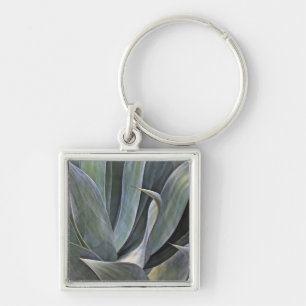 Llavero Detalle descolorado de Succulant, 2017