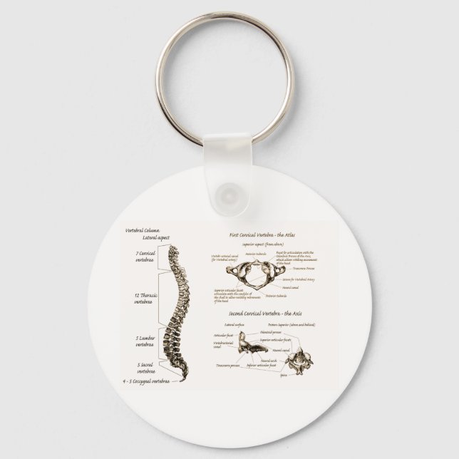 Llavero Detalles de la columna vertebral Sepia (Anverso)