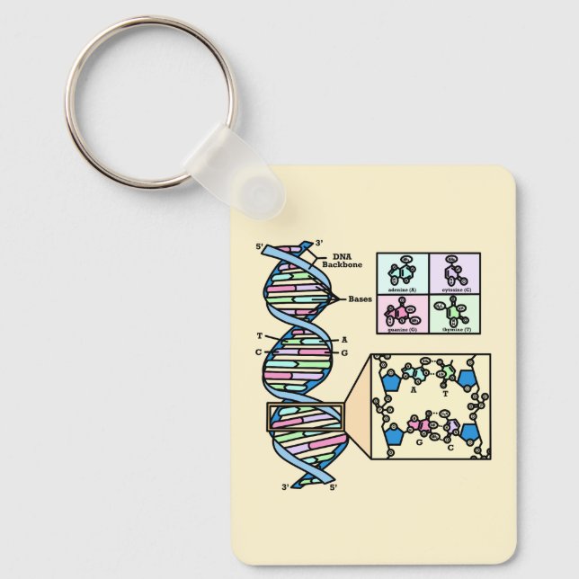 Llavero Diagrama de ADN (Anverso)