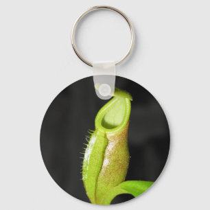 Llavero Diatas del Nepenthes
