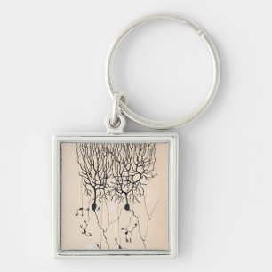 Llavero Dibujo de Neuronas Vintas por Santiago Ramón y Ca