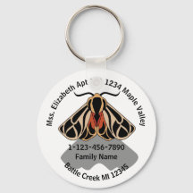 Dirección inicial de la familia Tiger Moth perdida