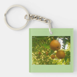 Llavero Diseño de árbol de transmisión