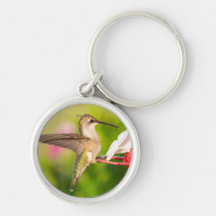 Diseño de la cadena de claves Hummingbird #108A060
